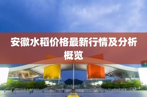 安徽水稻价格最新行情及分析概览