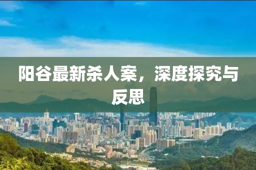 阳谷最新杀人案，深度探究与反思