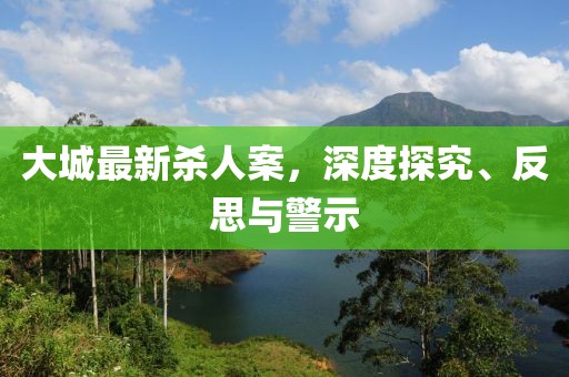 大城最新杀人案，深度探究、反思与警示