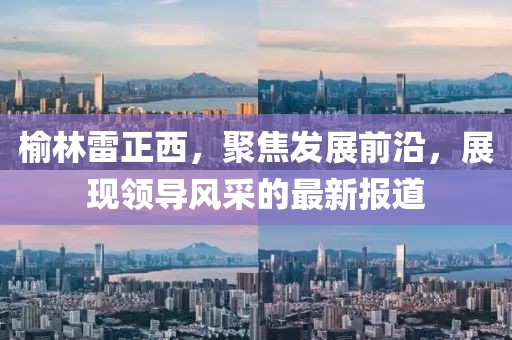 榆林雷正西，聚焦发展前沿，展现领导风采的最新报道