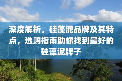 深度解析，硅藻泥品牌及其特点，选购指南助你找到最好的硅藻泥牌子
