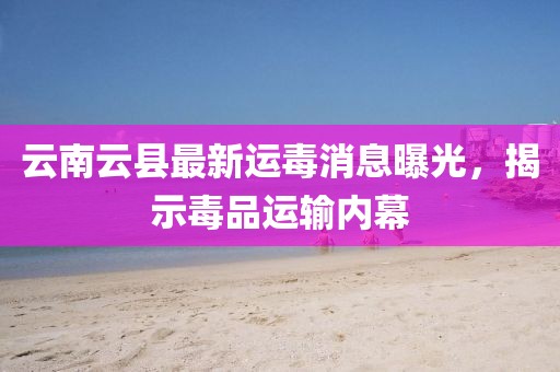 云南云县最新运毒消息曝光，揭示毒品运输内幕