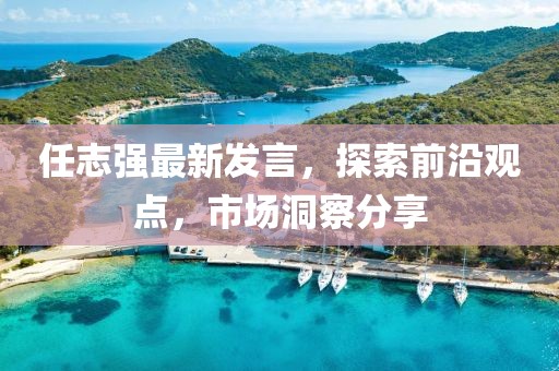 任志强最新发言，探索前沿观点，市场洞察分享