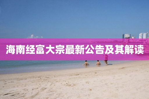 海南经富大宗最新公告及其解读