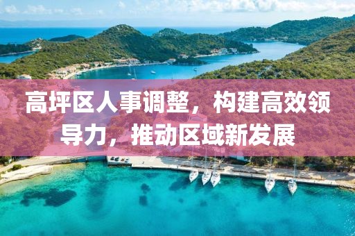 高坪区人事调整，构建高效领导力，推动区域新发展