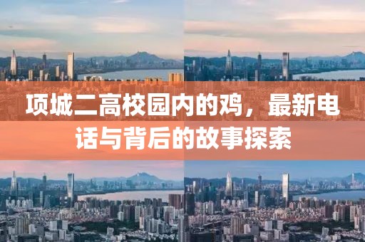 项城二高校园内的鸡，最新电话与背后的故事探索