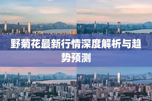 野菊花最新行情深度解析与趋势预测