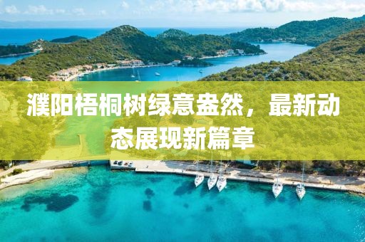 濮阳梧桐树绿意盎然，最新动态展现新篇章