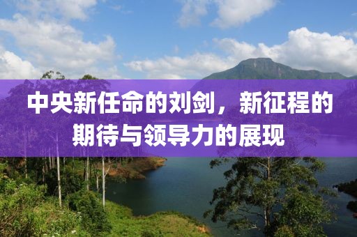 中央新任命的刘剑，新征程的期待与领导力的展现