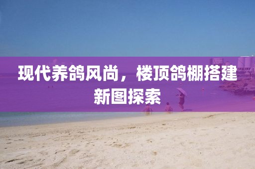 现代养鸽风尚，楼顶鸽棚搭建新图探索