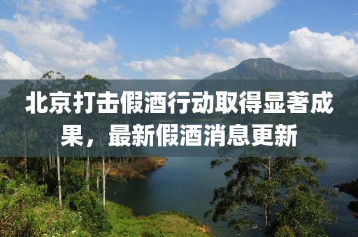 北京打击假酒行动取得显著成果，最新假酒消息更新