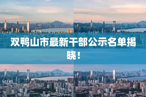 双鸭山市最新干部公示名单揭晓！