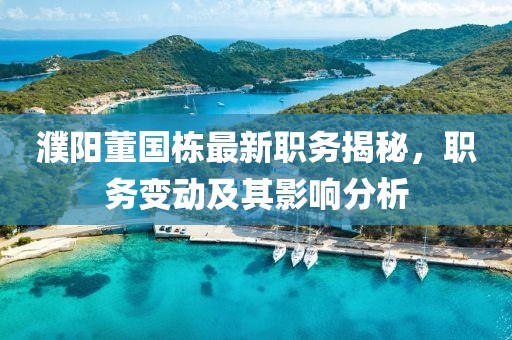 濮阳董国栋最新职务揭秘，职务变动及其影响分析