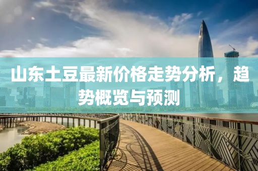 山东土豆最新价格走势分析，趋势概览与预测