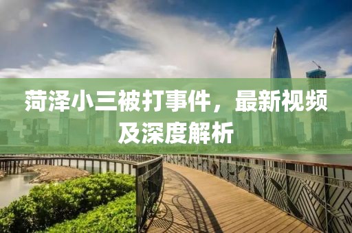 菏泽小三被打事件，最新视频及深度解析
