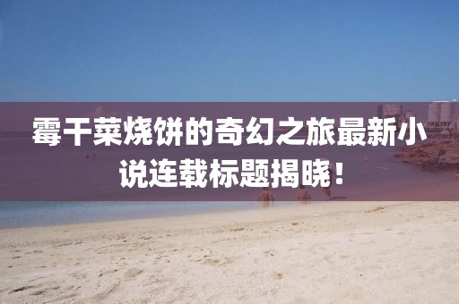 霉干菜烧饼的奇幻之旅最新小说连载标题揭晓！