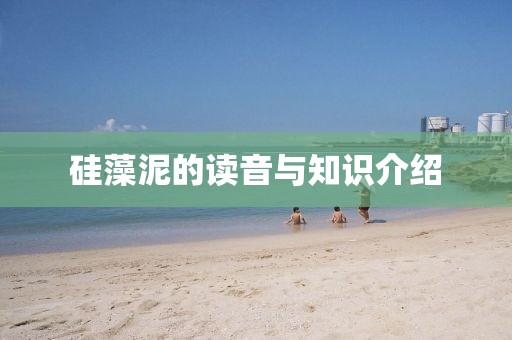 硅藻泥的读音与知识介绍