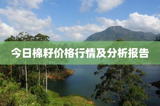 巷雨 第16页