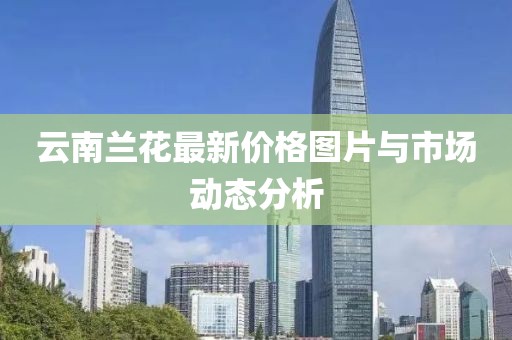 云南兰花最新价格图片与市场动态分析