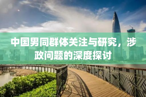 中国男同群体关注与研究，涉政问题的深度探讨