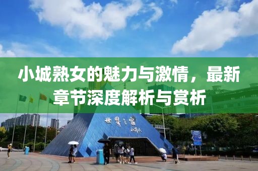小城熟女的魅力与激情，最新章节深度解析与赏析
