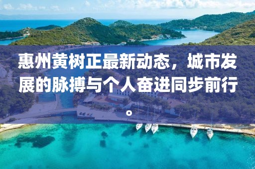 惠州黄树正最新动态，城市发展的脉搏与个人奋进同步前行。