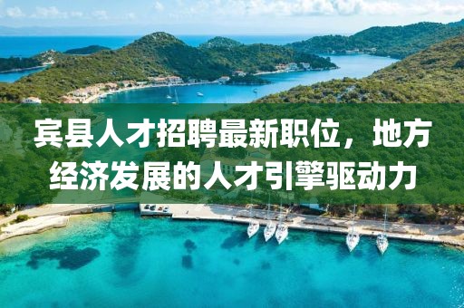 宾县人才招聘最新职位，地方经济发展的人才引擎驱动力