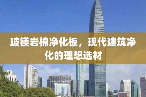 玻镁岩棉净化板，现代建筑净化的理想选材