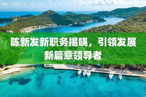 陈新发新职务揭晓，引领发展新篇章领导者