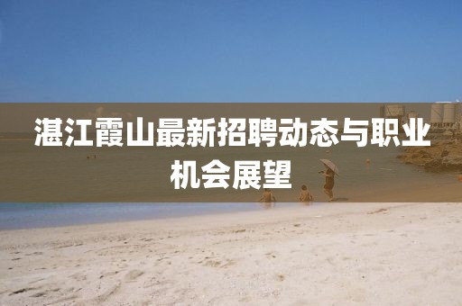 湛江霞山最新招聘动态与职业机会展望