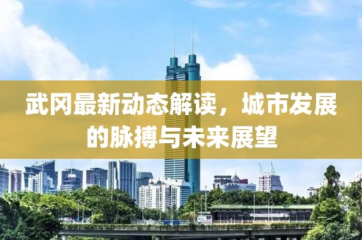 武冈最新动态解读，城市发展的脉搏与未来展望