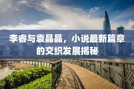 李睿与袁晶晶，小说最新篇章的交织发展揭秘