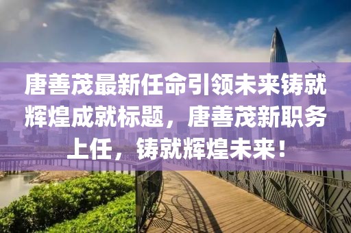 唐善茂最新任命引领未来铸就辉煌成就标题，唐善茂新职务上任，铸就辉煌未来！