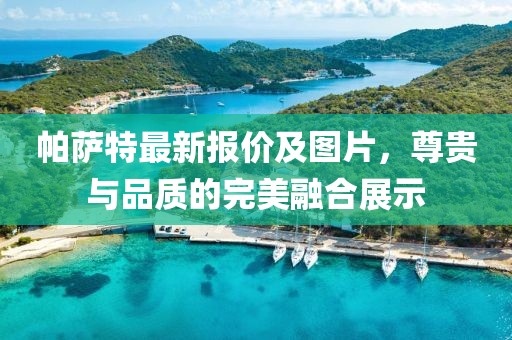 帕萨特最新报价及图片，尊贵与品质的完美融合展示