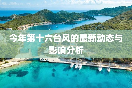 今年第十六台风的最新动态与影响分析