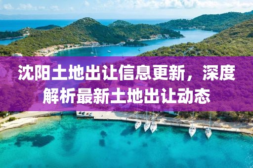 沈阳土地出让信息更新，深度解析最新土地出让动态