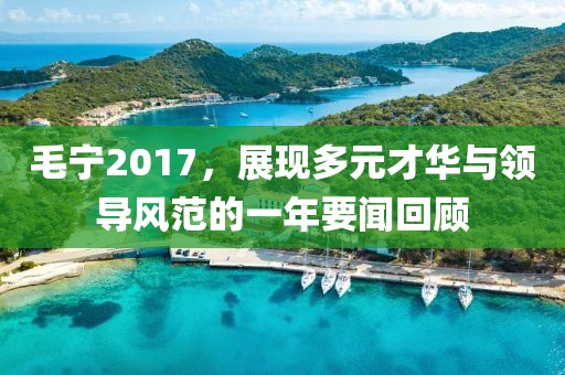 毛宁2017，展现多元才华与领导风范的一年要闻回顾