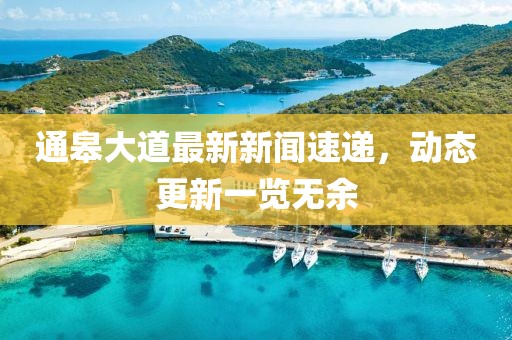 通皋大道最新新闻速递，动态更新一览无余
