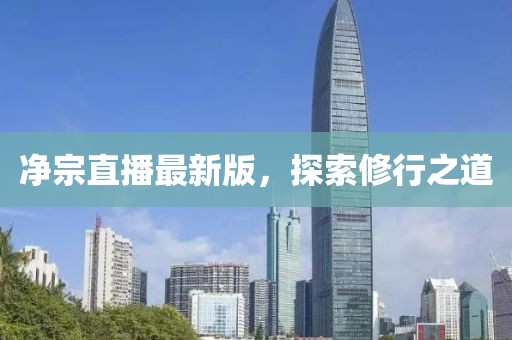 净宗直播最新版，探索修行之道
