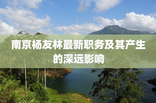 南京杨友林最新职务及其产生的深远影响