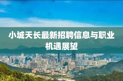 小城天长最新招聘信息与职业机遇展望