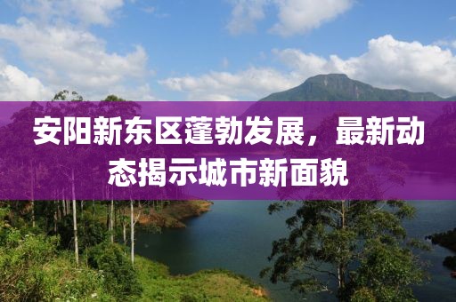 安阳新东区蓬勃发展，最新动态揭示城市新面貌