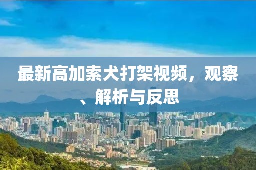 蓝汐 第15页