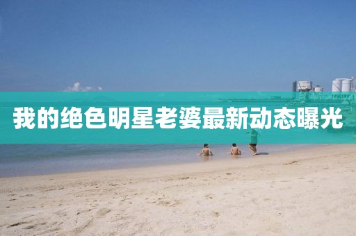 我的绝色明星老婆最新动态曝光