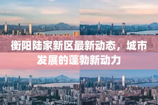 衡阳陆家新区最新动态，城市发展的蓬勃新动力