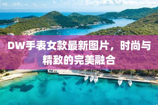 DW手表女款最新图片，时尚与精致的完美融合