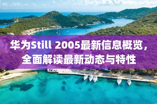 华为Still 2005最新信息概览，全面解读最新动态与特性