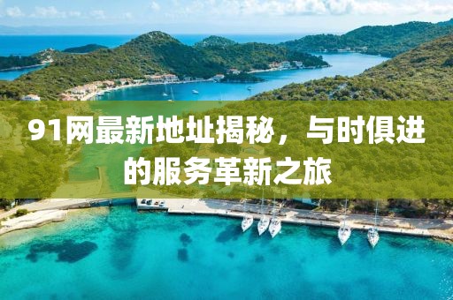 91网最新地址揭秘，与时俱进的服务革新之旅