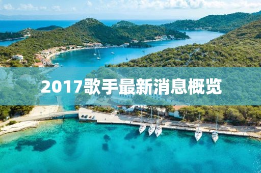 2017歌手最新消息概览