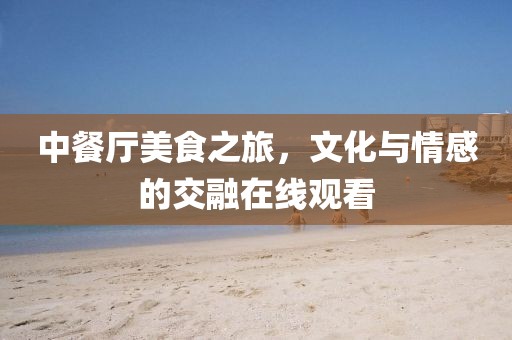 中餐厅美食之旅，文化与情感的交融在线观看